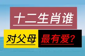 十二生肖谁最爱父母，看看你能打几分？视频封面