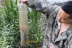 农村人的日常生活# 抓黄鳝第三天 今天好多 好多 暴笼了视频封面