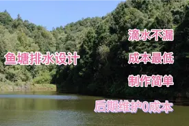 小鱼塘排水口设计这样。成本不到2百块就可以滴水不漏！视频封面