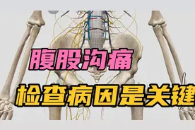 腹股沟痛，主要是耻骨联合上支的偏斜