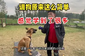 90后农村小伙穿的破烂，训狗年入百万，你敢信吗？视频封面