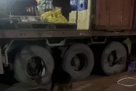 法治社会救了你，视频封面