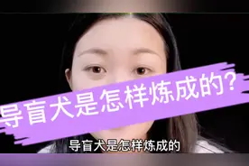 培养一只导盲犬有多难，成本超过20万视频封面