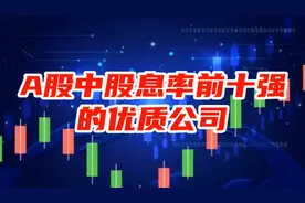 A股中股息率前十强的优质公司！视频封面