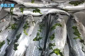 青岛早市，封海了，还有大鲅鱼售卖，便宜了，25、20元一斤视频封面