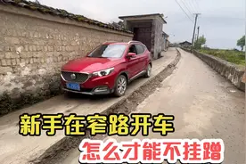 窄路会车如何不挂碰，新手可以试试这个技巧小白也能快速上手视频封面