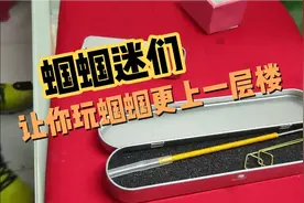 这是一期让你玩蝈蝈的水平，更上一层楼的视频，一起来了解一下吧