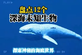 盘点12个深海未知生物，最后一个超出认知