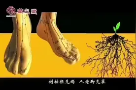 足底有66个穴位72个反射区，对应人体内脏