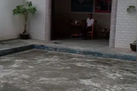 自家院子桂花树上有个鸟巢在风水学是好是坏，欢迎评论留言。