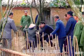 资本主义尾巴限制农村只能养三只鸭子？邓公大怒