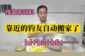 钓友说能诱鳊鱼翘嘴的鲫鱼酒米窝料，发窝就连竿，钓友都不愿靠近视频封面