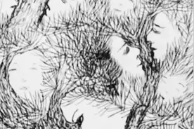 树中隐藏几张人脸？发现1-3近视，4-6眼力不错，7-10眼力太棒了视频封面