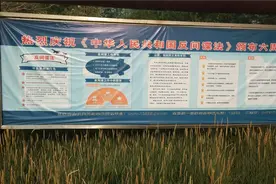 中国近代史上，清政府与其他国家签订哪些不等平条约？