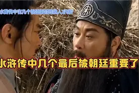 《水浒传》中有几个英雄最后被朝廷重用了呢？其中有一位官位最大