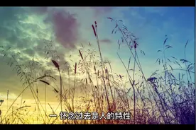 上个世纪八十年代有什么特点，为什么很多人都怀念那个时代视频封面