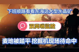 现场看看连云港某村刚发现的大型水晶矿，麦地被踏平，挖机待命