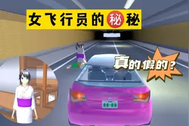 樱花校园模拟器：樱校女飞行员的秘密