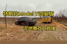 特斯拉modelY泥地撒欢出不来了，拖车拖了三次才出来