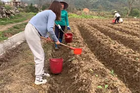 农村人不懂2021314是什么梗
我只知道3月14号龙抬头
春耕由此开始