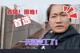 今天圈围墙120元一平米，养殖首选材料，关键是快！视频封面