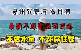 惠州巽寮湾双月湾实在太堵车了，而且物价高的离谱，这是为什么呢视频封面
