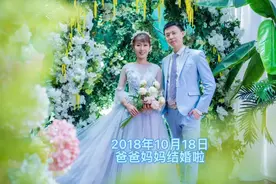 年年岁岁花相似，岁岁年年心向阳视频封面