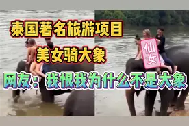 沉浸式看性感美女骑大象，网友：我恨我自己为什么不是那只大象视频封面