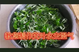 教您制作艾叶水，喝了去掉身上的湿气
