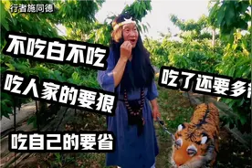 夫妻自驾游山东阳谷县，带着老虎去吃樱桃，老虎为什么不吃樱桃？视频封面