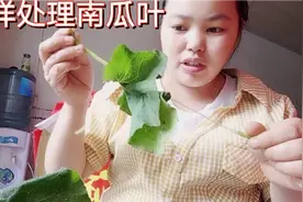 南瓜叶还能吃？有的伙伴不相信，带大家看看处理南瓜叶的方法