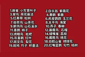 小写意禽鸟专栏 63节课  完成二十幅花鸟小品视频封面