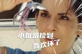 天呀！小姐姐捡到一个鲨鱼宝宝，竟然长成巨兽视频封面