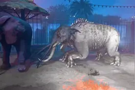 疯狂动物园变异大合集