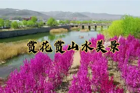 济南玉符河土屋村段，赏花赏山水美景，快来打卡吧