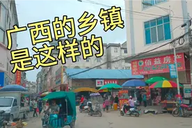 今年桂皮价格上涨了？广西这个镇是“玉桂之乡”集市冷清内卷厉害视频封面