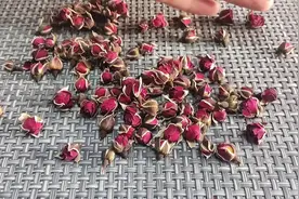 干玫瑰加醋泡一泡，真是太厉害了，既省钱又实用，很多人都不知道