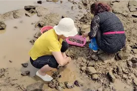 大姐抓螺有办法