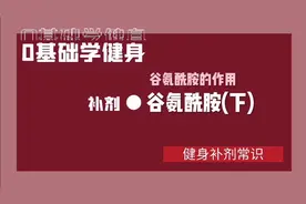 健身补剂常识------谷氨酰胺的作用