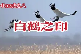 《白鹤之印》手印108式之八，双手结印形如飞翔之鹤