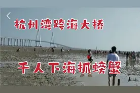 嘉兴海盐杭州湾跨海大桥旁，上千人下海抓螃蟹，人比螃蟹还多视频封面
