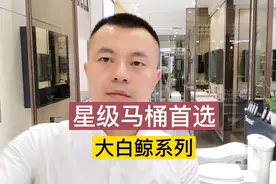 买一款好马桶，冲水量大，分量足，款式大，超晶耐磨釉，不挂污