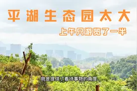 深圳平湖生态园太大，有山有湖有花，体质差的只能游览一半