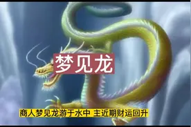 梦见龙，你梦见过龙吗？视频封面