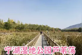 秋游西宁东郊宁湖湿地公园视频封面