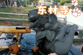 斋饭免费，住宿免费，门票免费的佛寺。视频封面