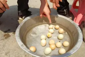 鸡蛋在温水里动来动去像跳舞！还能听到小鸡清脆的叫声，太好玩了视频封面
