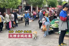 云南大理古城，夏天最热时不到30度，看看菜价，是否适合避暑养老