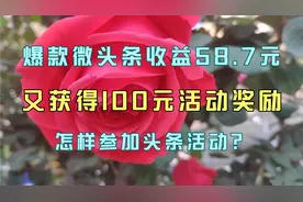 爆款微头条收益58.70元！又拿到100元活动奖励！头条活动就是香！视频封面