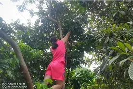 女汉子上树，到底是为了什么，为了好玩吗？😁😁😁😁